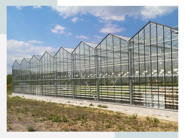 Строительство теплиц в Череповец от 613 руб. за м²